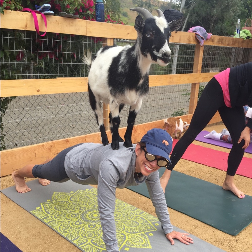 Meet your Posher, Diablo